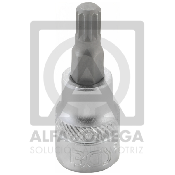 BGS 5105-M8 Punta de vaso entrada 10 mm (3/8") dentado múltiple interior (para XZN) M8